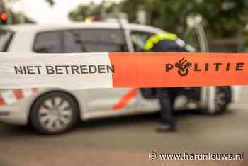 Twee mannen betrokken bij steekincident, Van Renesse van Baarstraat Waalwijk - Hardnieuws