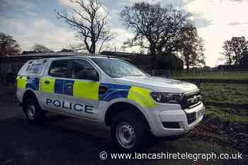 Two puppies rescued as police raid property linked to ‘badger baiting and fighting’