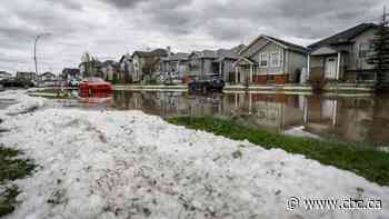 One year later, residents say northeast Calgary still hasn't recovered from devastating hailstorm - CBC.ca