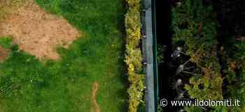 Chiazze di erba bruciata, sversamento di sostanze pericolose in un prato. Avviate le indagini della polizia - il Dolomiti