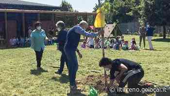 Quattro scuole di Prato restano senza il preside - Il Tirreno