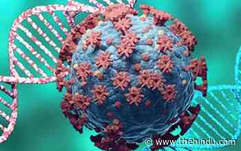 India acknowledges emergence of new coronavirus variant - The Hindu