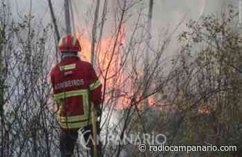 Incêndio em Alter do Chão, no distrito de Portalegre - Rádio Campanário