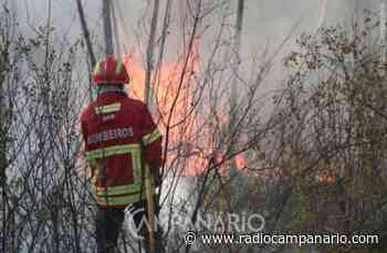Incêndio em Prazeres, no distrito de Portalegre - Rádio Campanário