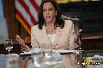 Harris calls for pathway to citizenship for Dreamers on DACA anniversary