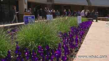 Lifespan marks World Elder Abuse Awareness Day