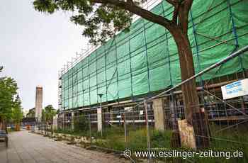 Dauerbaustelle in Nellingen: Realschule wird mit drei Jahren Verspätung fertig - esslinger-zeitung.de