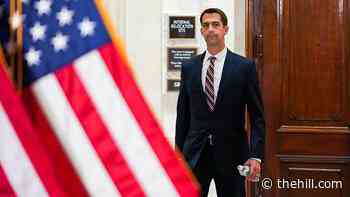 Cotton warns of China collecting athletes' DNA at 2022 Olympics