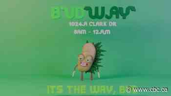 Cannabis dispensary Budway must pay $40K after Subway sues over trademark