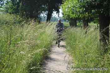 Fietsroutenetwerk Limburg: soms hobbelt en kriebelt het ook