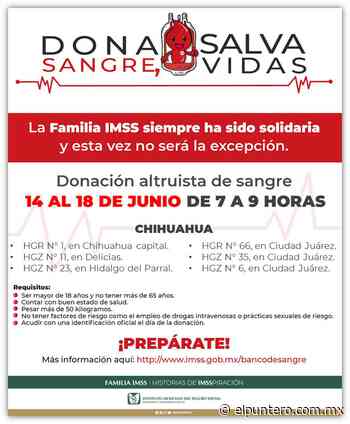 Exhorta el IMSS Chihuahua a personas de entre 18 y 65 años a donar sangre de manera altruista y salvar vidas - El puntero