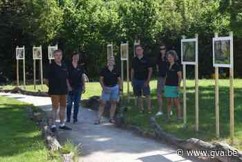 Fotoclub Moof stelt tentoon in park Moldersbok (Mol) - Gazet van Antwerpen
