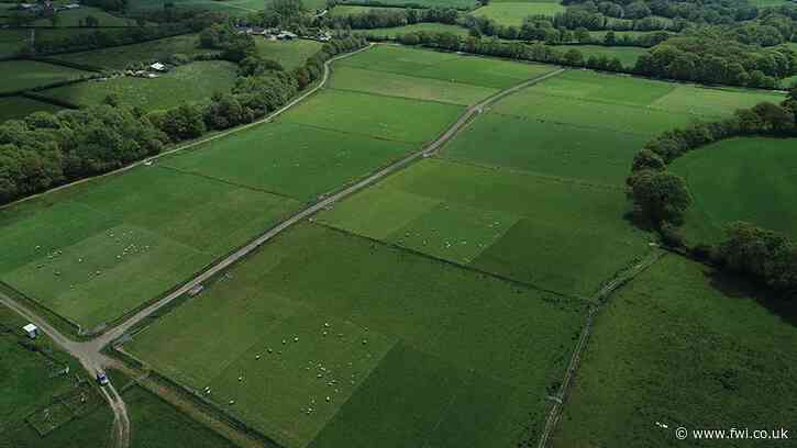 Experiment shows potential for cell-grazing herbal leys