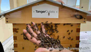 Buzzy beekeeping activities for all land on Houston retail center roof - CultureMap Houston
