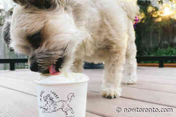 A Toronto ice cream shop that's for the dogs - NOW Magazine