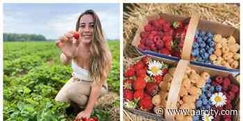 You Can Pick Your Own Strawberries At These Farms Near Toronto - Narcity Canada