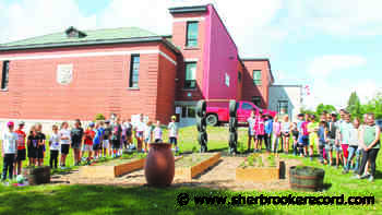 News Lennoxville Elementary students getting into gardening - Sherbrooke Record