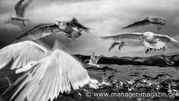 Vertrieb: Sollen Topmanager in Verhandlungen dabei sein?