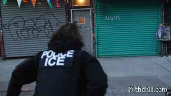 Skepticism abounds of Biden moves to reform ICE, immigration courts