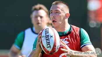 British and Irish Lions: Wales wing Josh Adams settles into Jersey life