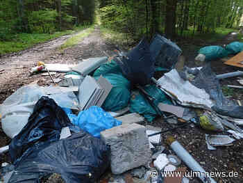 Müllsünder ermittelt