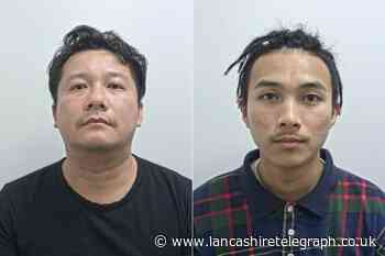 Men who helped to run East Lancashire cannabis farms jailed