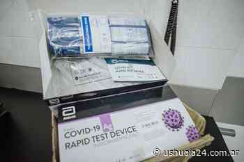 Coronavirus: El Municipio de Ushuaia adquiere mil kits para realizar hisopados - Ushuaia 24