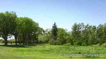 The rain rolls into the northeast, as clear skies take over again: This is your Saskatoon forecast