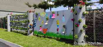 Verticale tuintjes van het Biotechnicum (Bocholt) - Het Belang van Limburg Mobile - Het Belang van Limburg