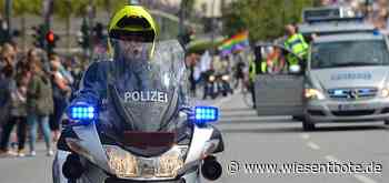 Bamberg: Hund reißt 14 Schafe - Der Neue Wiesentbote