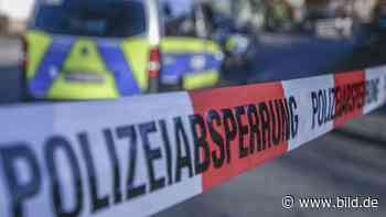 In Auto gekracht! Biker (64) stirbt in Heide-Dorf - BILD
