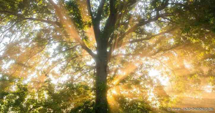 Erste Hitzewelle des Jahres schon kurz vor Sommeranfang