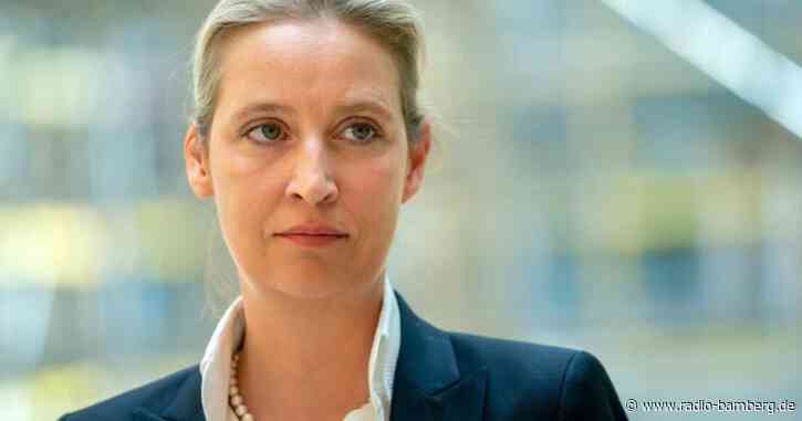 Strafzahlung für Weidel-Spende: AfD scheitert vor Gericht