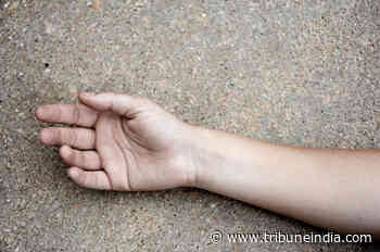 'Distressed over impending demotion drive', man commits suicide in Aravalli Forest area village - The Tribune India