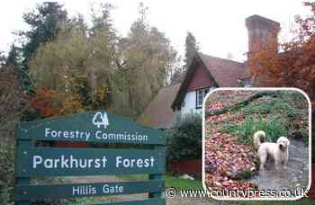 Selfish dog owners spoiling Parkhurst Forest for others - Isle of Wight County Press