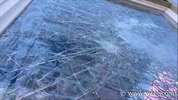 Caught on Camera: Papa O's vandalized in Forest - WSET