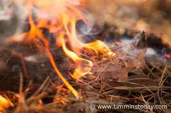 Two new forest fires reported in Timmins region - TimminsToday
