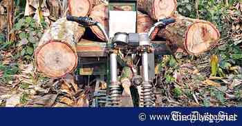 Tangail Sal Forest: Two-thirds gone as greed at play - The Daily Star