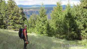 TRU researcher receives funding to study forest fire ecology - CFJC Today Kamloops