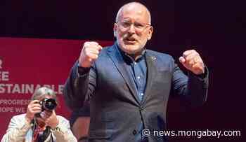 Forest advocates press EU leader to rethink views on biomass and energy - Mongabay.com