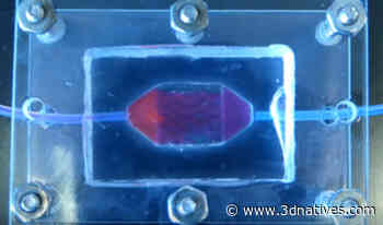 Wake Forest Teams Won Functional NASA Challenge with 3D Printed Liver Tissues - 3Dnatives