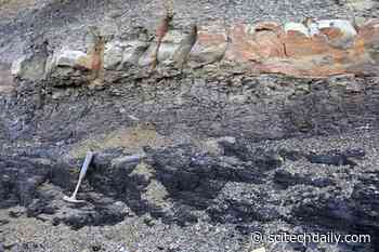 The “Great Dying” – Rapid Warming Contributed to Abrupt Collapse of Forest-Mire Ecosystems - SciTechDaily