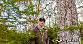 Rural Nova Scotians say province's online forest harvest map is 'inaccessible' due to internet speeds | Saltwire - SaltWire Network