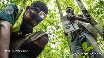 Tapping local knowledge to save a Papua New Guinea forest - Nature.com