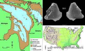 9,000 year-old stone artifacts discovered in Lake Huron came from over 2,000 miles away 