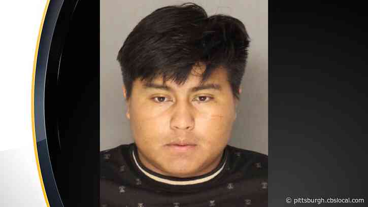Man Arrested For Allegedly Inappropriately Touching Girls On Kennywood Ride