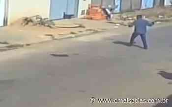 Homem mata cão com pedrada enquanto animal brincava na rua, em Aparecida - Mais Goiás