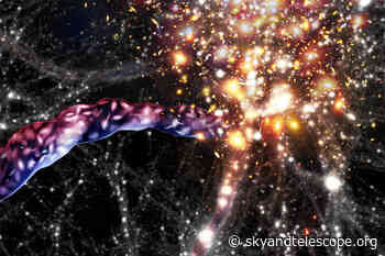 Twisters in the Cosmic Web