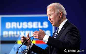 Biden approval rating slips from April: poll