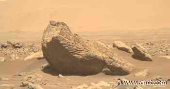 NASA Mars rover eyes walrus-shaped boulder: 'Interesting stuff'     - CNET